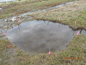 陸前高田ひろば20200425049.jpg
