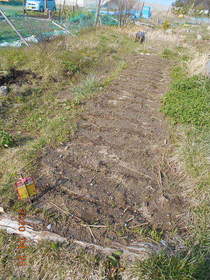 陸前高田ひろば20200425051.jpg
