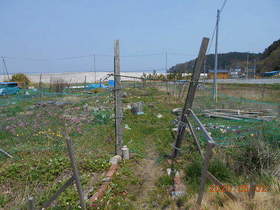 陸前高田ひろば20200502001.jpg