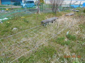 陸前高田ひろば20200502039.jpg