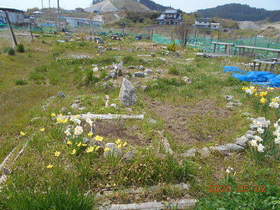 陸前高田ひろば20200502055.jpg
