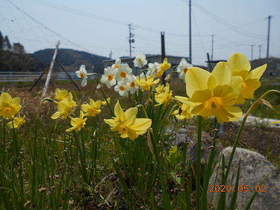 陸前高田ひろば20200502057.jpg