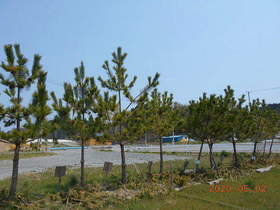 陸前高田ひろば20200502063.jpg