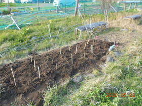 陸前高田ひろば20200502067.jpg