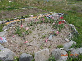 陸前高田ひろば20200504010.jpg