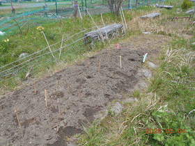 陸前高田ひろば20200504021.jpg