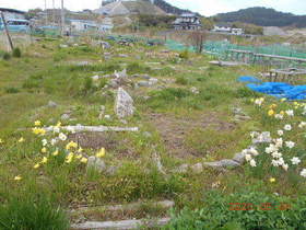 陸前高田ひろば20200504029.jpg