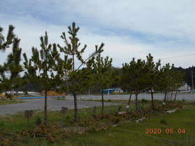 陸前高田ひろば20200504034.jpg