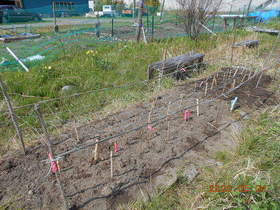 陸前高田ひろば20200504040.jpg