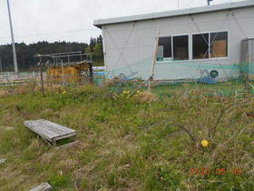 陸前高田ひろば20200509009.jpg
