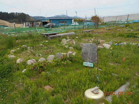 陸前高田ひろば20200509010.jpg