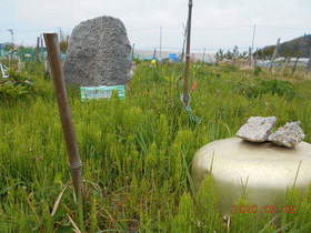 陸前高田ひろば20200509011.jpg
