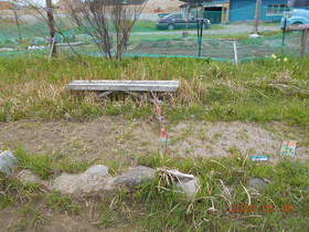 陸前高田ひろば20200509033.jpg