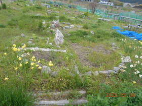 陸前高田ひろば20200509041.jpg