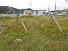 陸前高田ひろば20200509045.jpg