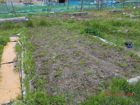 陸前高田ひろば20200509054.jpg