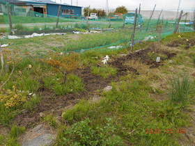 陸前高田ひろば20200509055.jpg