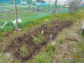 陸前高田ひろば20200509056.jpg