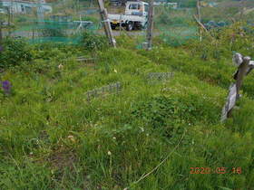 陸前高田ひろば20200516006.jpg
