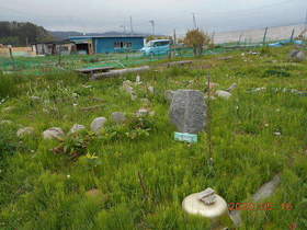 陸前高田ひろば20200516007.jpg