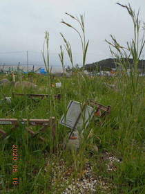 陸前高田ひろば20200516011.jpg