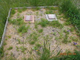 陸前高田ひろば20200516012.jpg