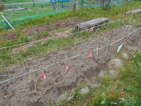 陸前高田ひろば20200516026.jpg