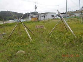 陸前高田ひろば20200516044.jpg