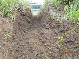 陸前高田ひろば20200516053.jpg
