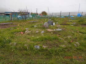 陸前高田ひろば20200516059.jpg