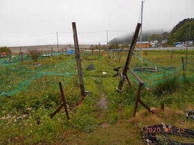 陸前高田ひろば20200523001.jpg