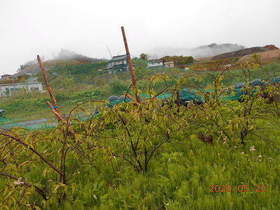 陸前高田ひろば20200523003.jpg