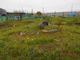 陸前高田ひろば20200523029.jpg