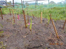 陸前高田ひろば20200523031.jpg