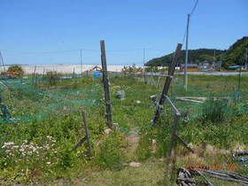 陸前高田ひろば20200530001.jpg