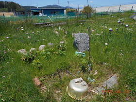 陸前高田ひろば20200530010.jpg