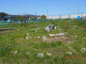 陸前高田ひろば20200530033.jpg