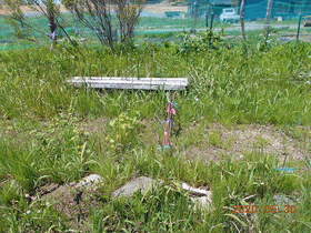 陸前高田ひろば20200530037.jpg