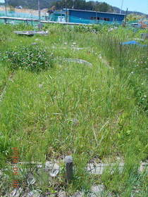 陸前高田ひろば20200530041.jpg