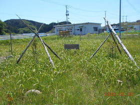 陸前高田ひろば20200530048.jpg