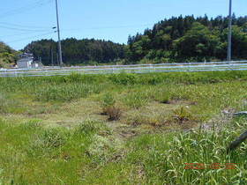 陸前高田ひろば20200530050.jpg