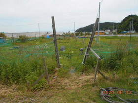 陸前高田ひろば20200613001.jpg