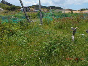 陸前高田ひろば20200620005.jpg