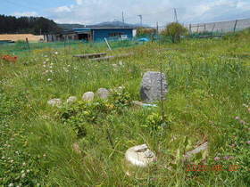 陸前高田ひろば20200620006.jpg