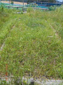 陸前高田ひろば20200620038.jpg