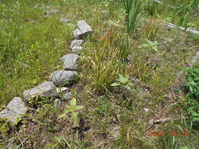 陸前高田ひろば20200620042.jpg