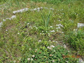 陸前高田ひろば20200620044.jpg
