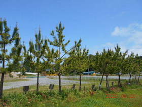 陸前高田ひろば20200620047.jpg