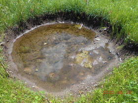 陸前高田ひろば20200620048.jpg