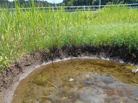 陸前高田ひろば20200620049.jpg